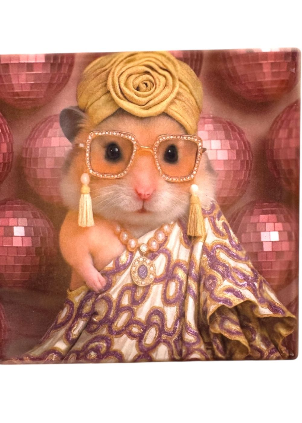 Hatti the Hamster