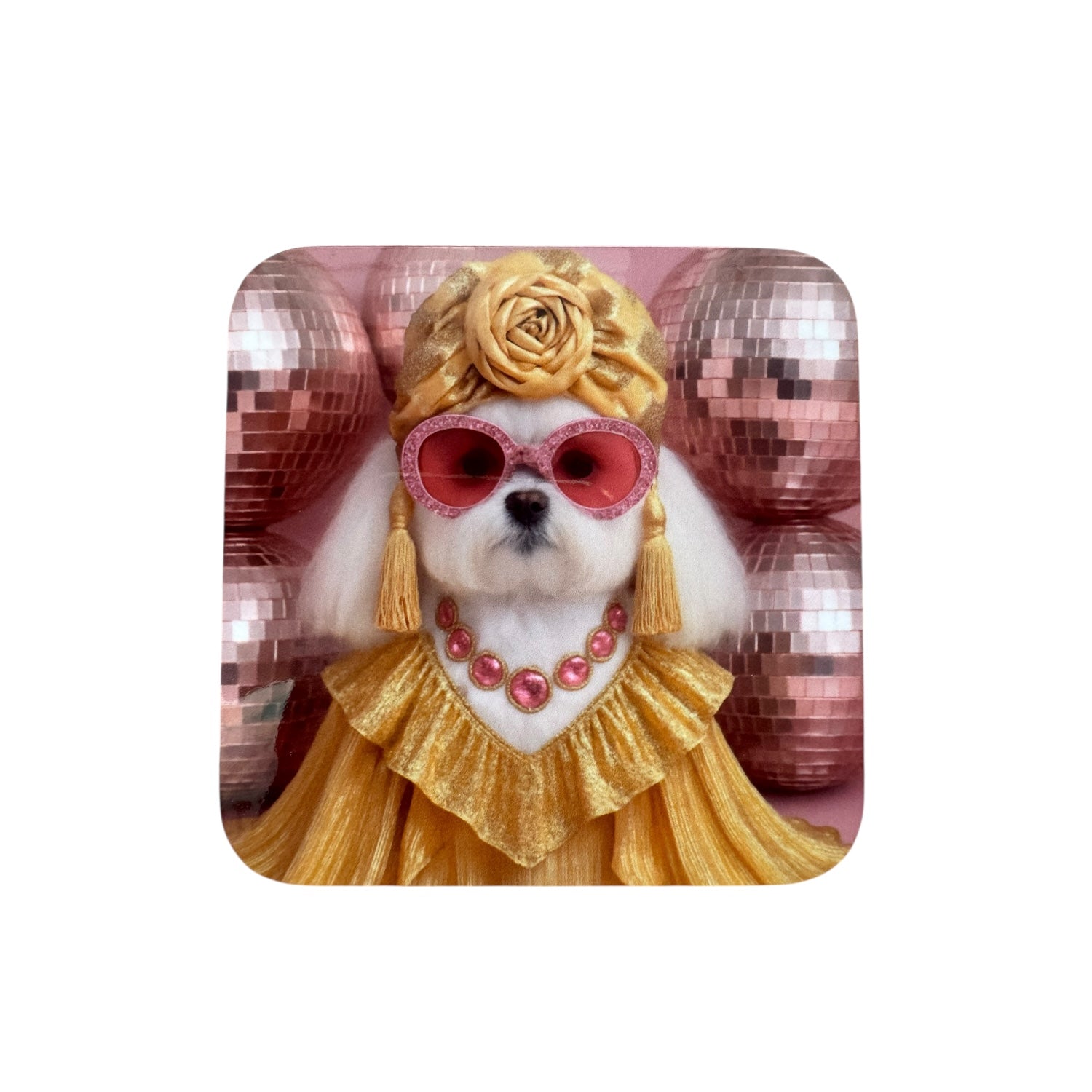 CUSTOM PAWTRAIT DRINK GLOSS COASTERS x 4