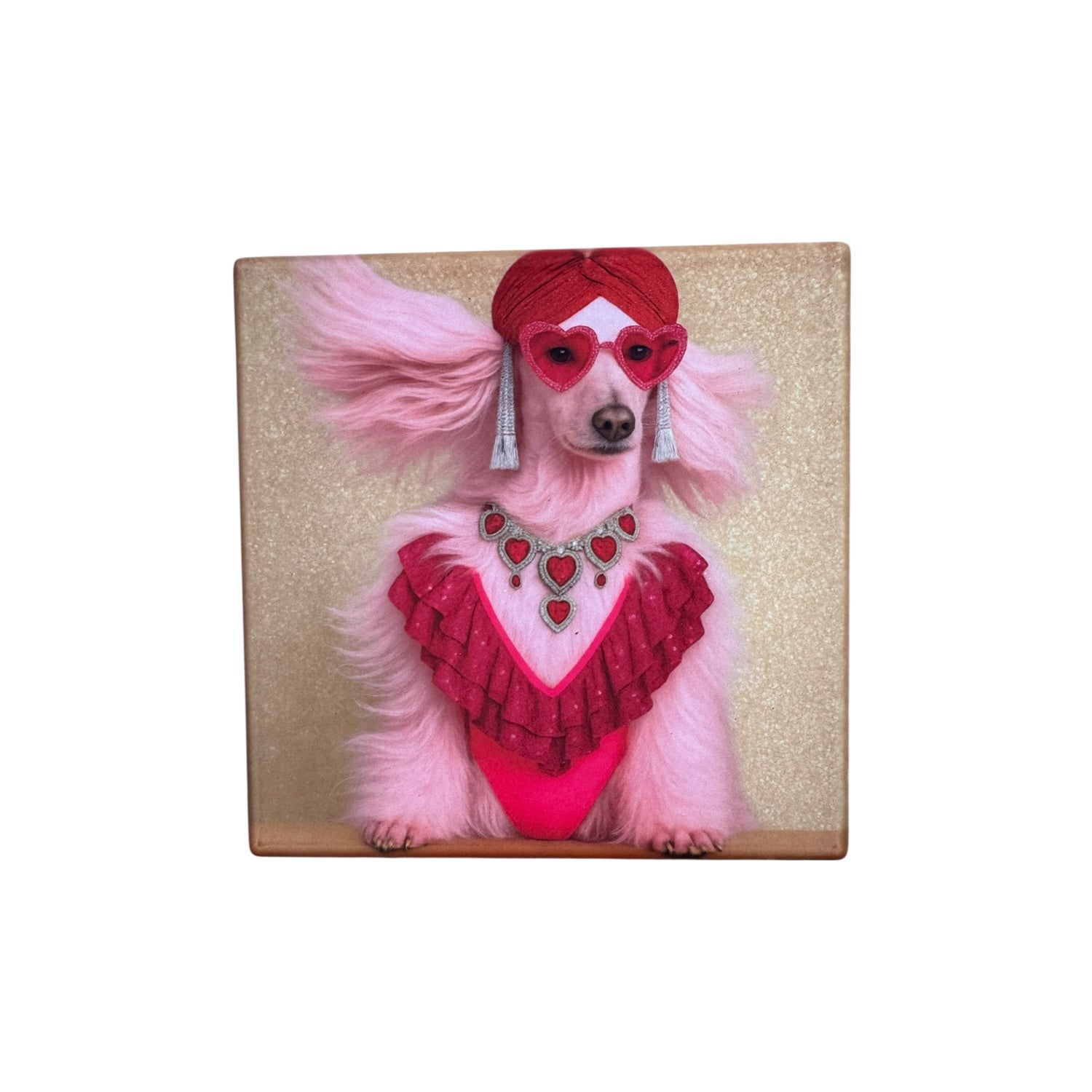 CUSTOM PAWTRAIT CERAMIC DRINK COASTERS x 4