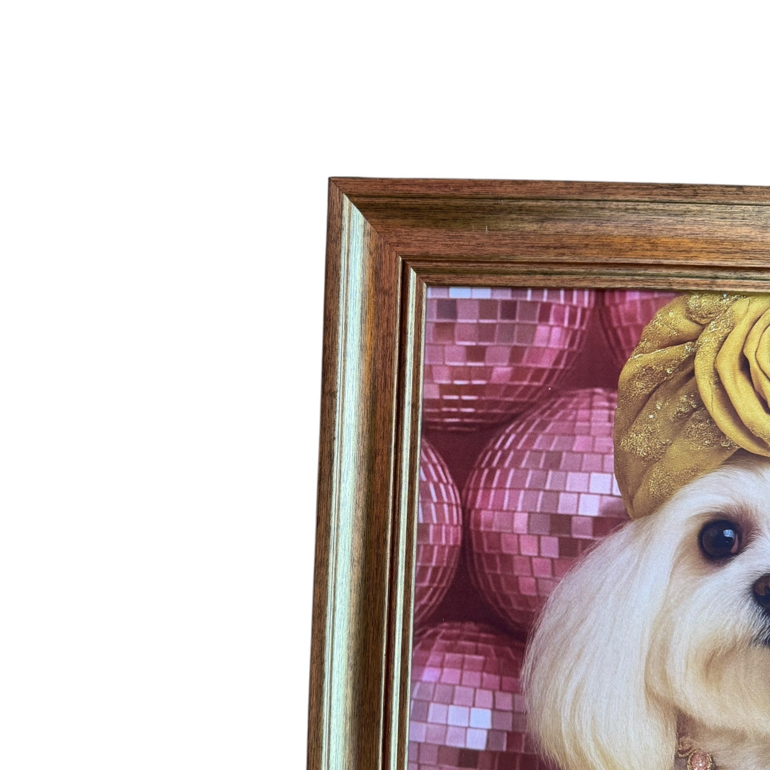 Bianca Wagger Sit ! Classic Gold Frame
