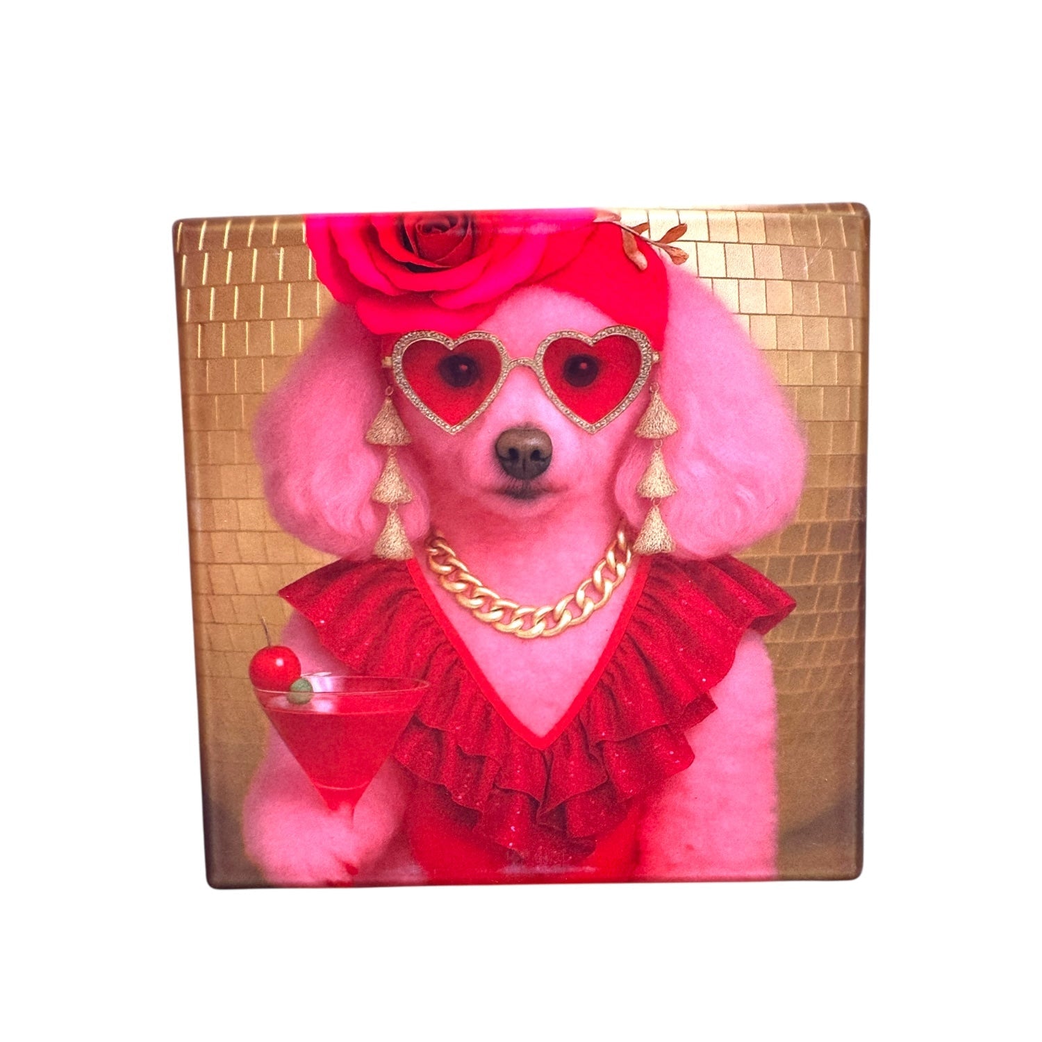 CUSTOM PAWTRAIT CERAMIC DRINK COASTERS x 4