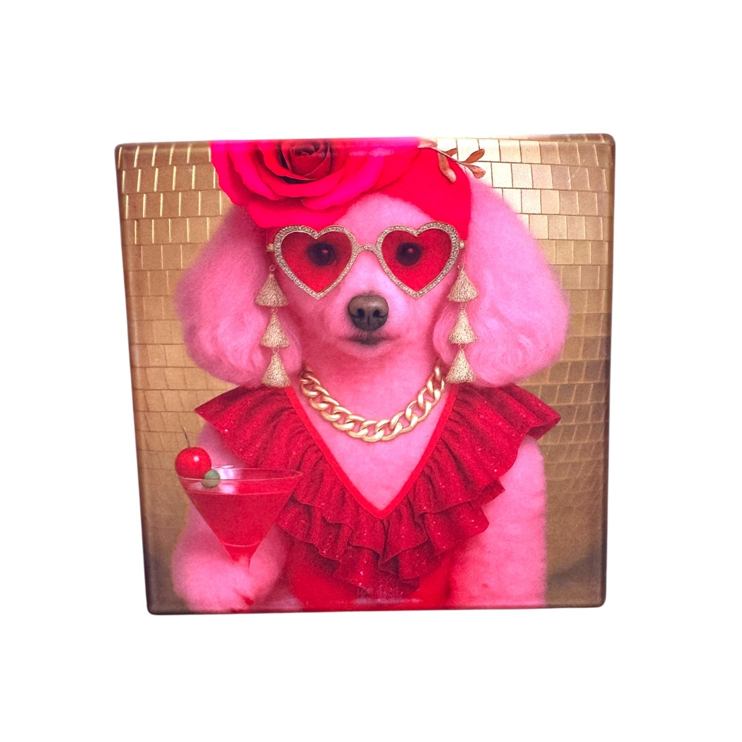 CUSTOM PAWTRAIT CERAMIC DRINK COASTERS x 4