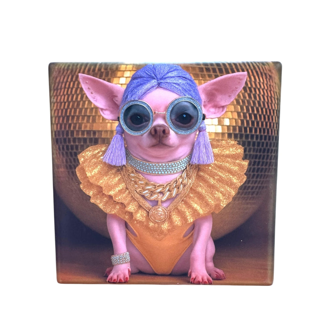 CUSTOM PAWTRAIT CERAMIC DRINK COASTERS x 4